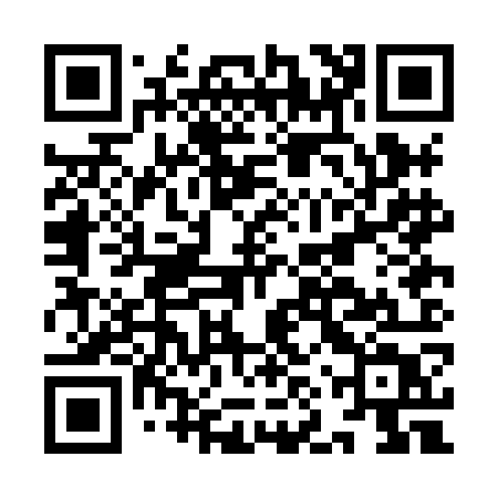 QR code for IN PHOT