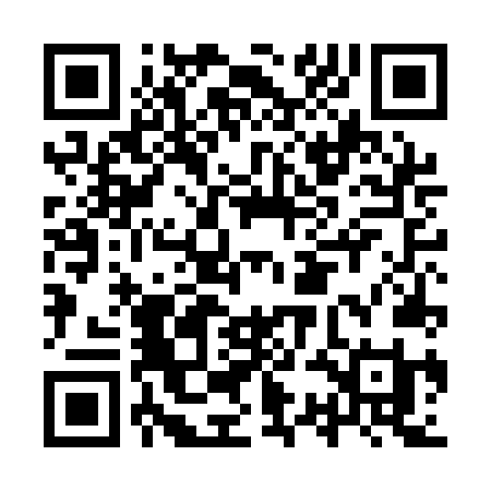 QR code for IS DANI