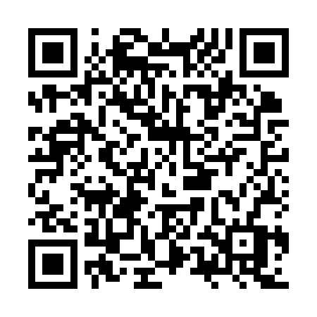 QR code for plate JUNK RV