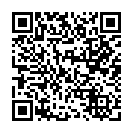 QR code for L339E0