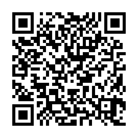 QR code for L919Z0