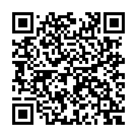 QR code for LARMAE