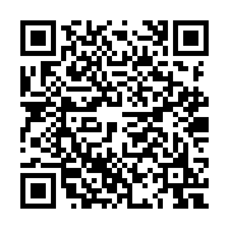 QR code for LAZYCOP