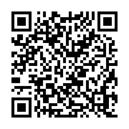 QR code for LK383N