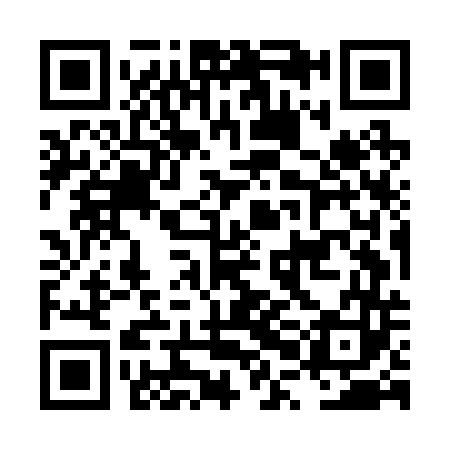 QR code for plate LPM B43