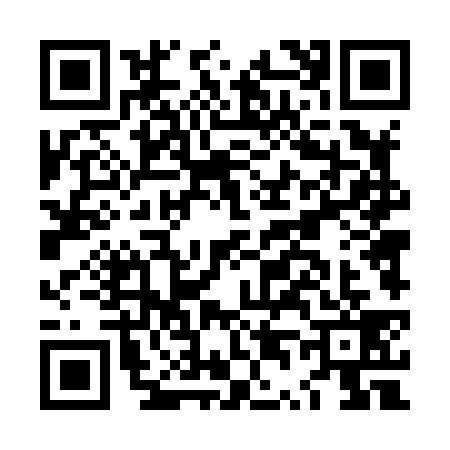 QR code for LT48393