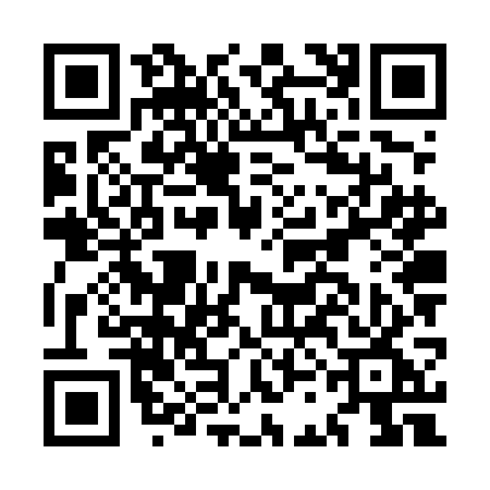 QR code for MCNUGGT