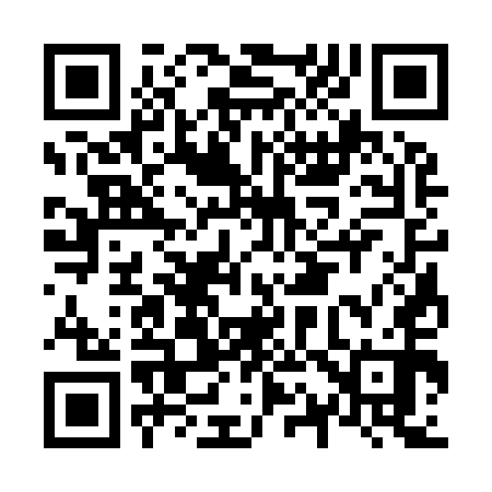 QR code for N13950