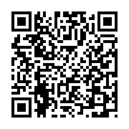 QR code for N1T0415