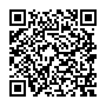 QR code for N290906