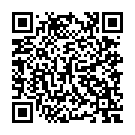 QR code for N384MO