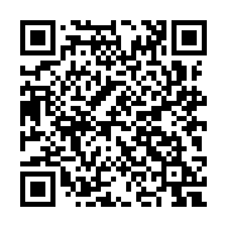 QR code for NO LICE