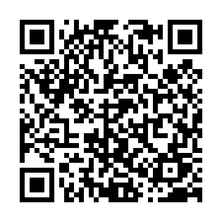 QR code for plate P09-47T