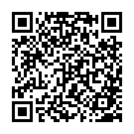 QR code for P153LO
