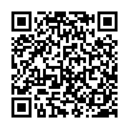 QR code for P241Z0
