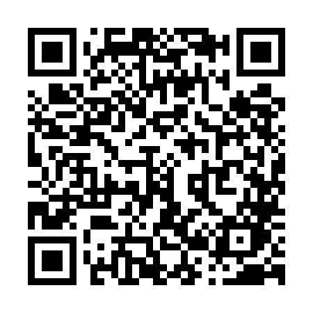 QR code for P295LO