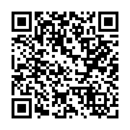 QR code for P296L0