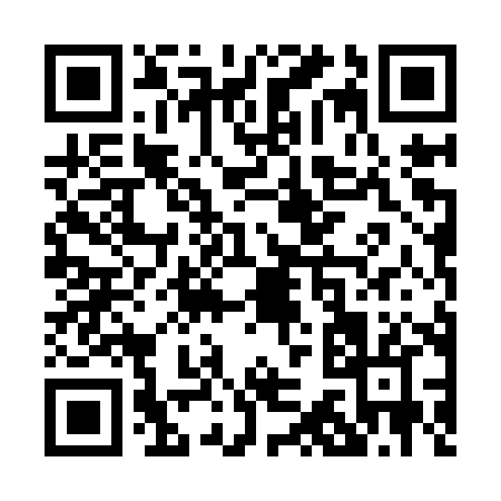 QR code for P349X