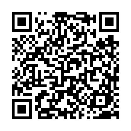QR code for P386VO