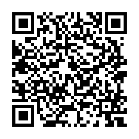 QR code for P396856
