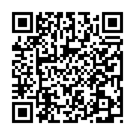 QR code for P590138