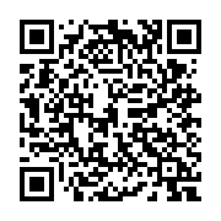 QR code for P60FEA