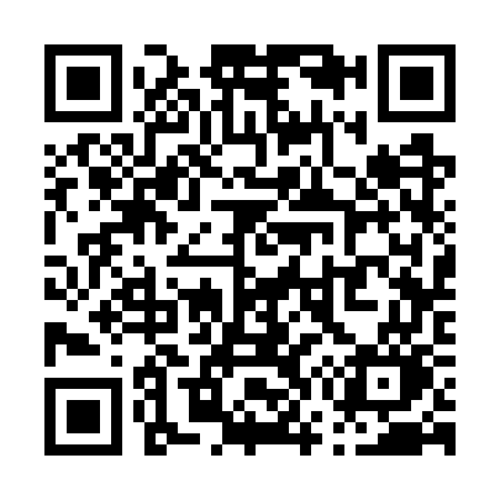 QR code for P737WO