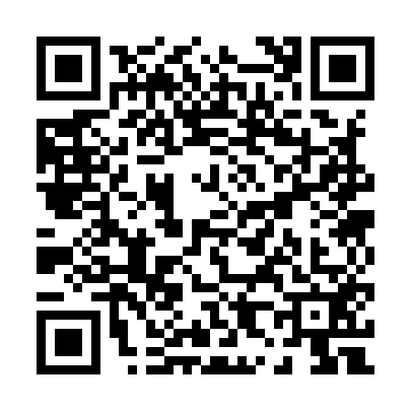QR code for P839528