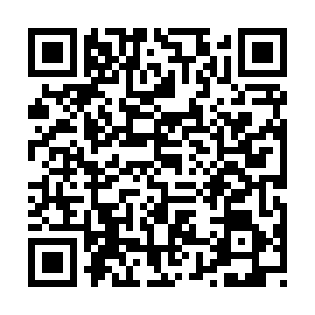 QR code for P888461