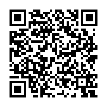 QR code for P993293