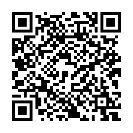 QR code for PALMSM3