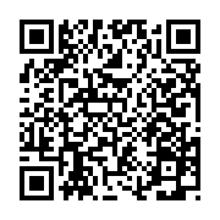 QR code for PIPILEZ