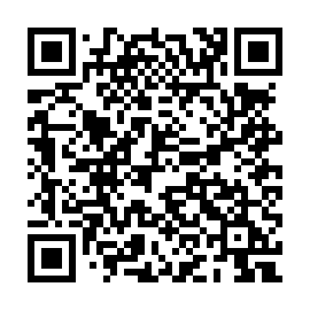 QR code for plate PO BLUE