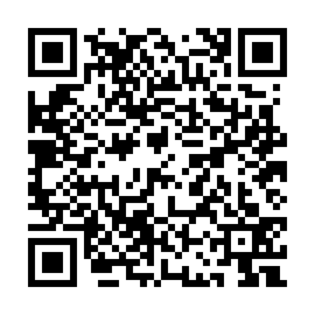 QR code for QCPG334