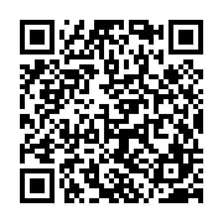 QR code for plate QTK P06
