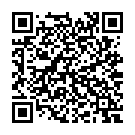 QR code for RAN WEI