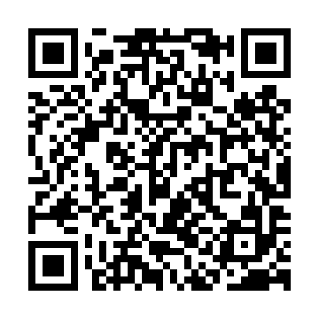 QR code for SALTY2