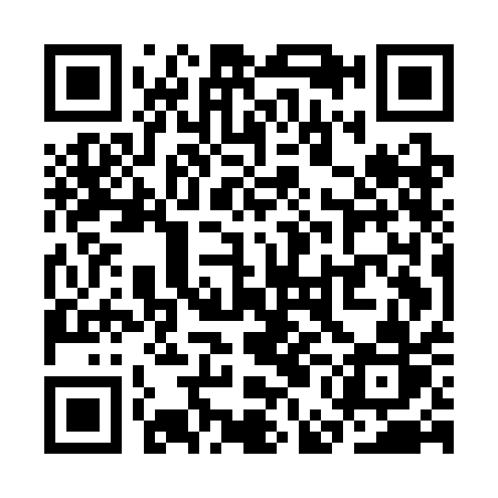 QR code for SEE CAR
