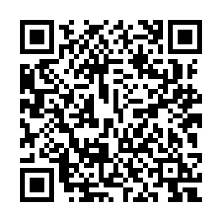 QR code for SILICIO
