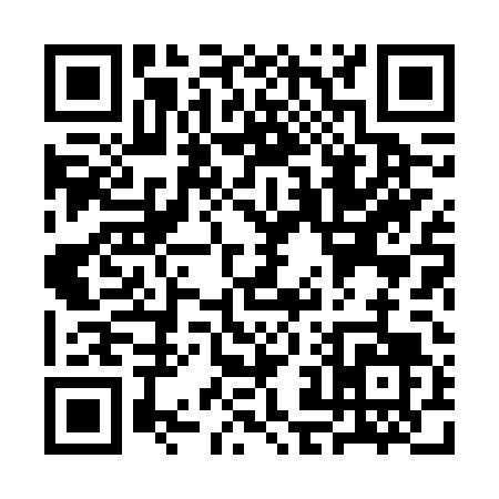 QR code for SJ86T