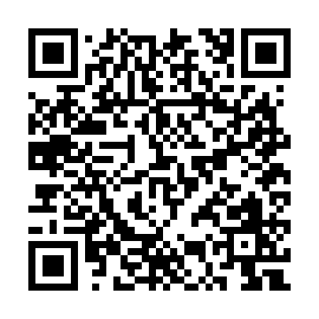 QR code for SURF1