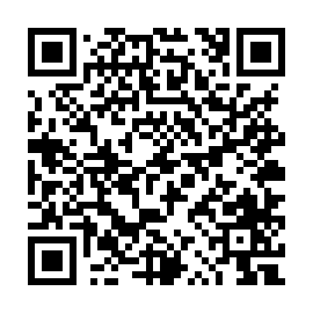 QR code for T REXX