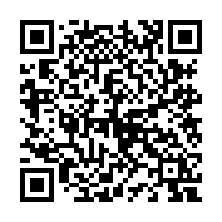 QR code for T228BX