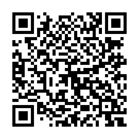 QR code for TESLAV
