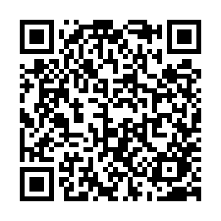 QR code for U375XO