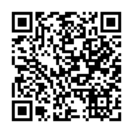 QR code for U493HO