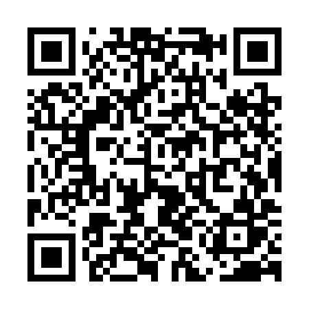 QR code for UMM SIR
