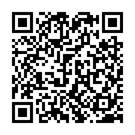 QR code for V333S0