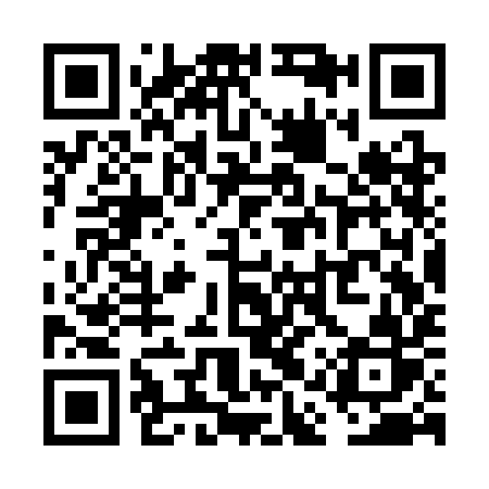 QR code for VASSIR