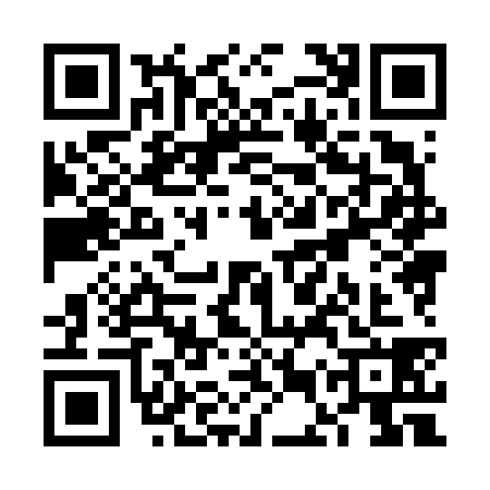 QR code for VEX6383